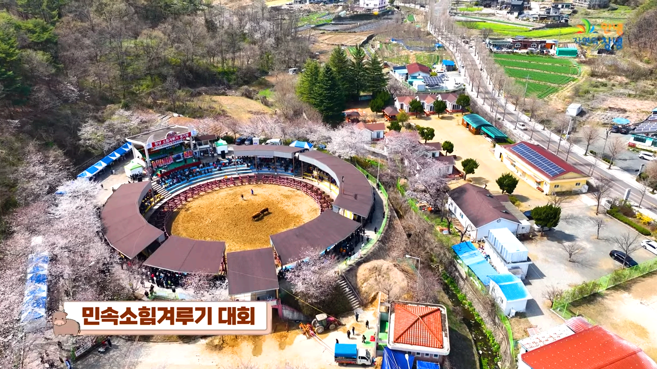 부곡온천축제