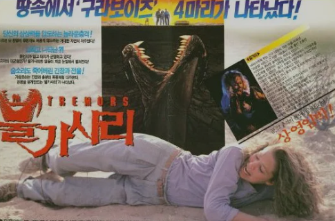 불가사리 관련 사진