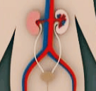 소변에 거품이 나는 이유