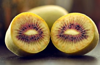 배부른 영양실조&amp;#44; 키위가 답이다