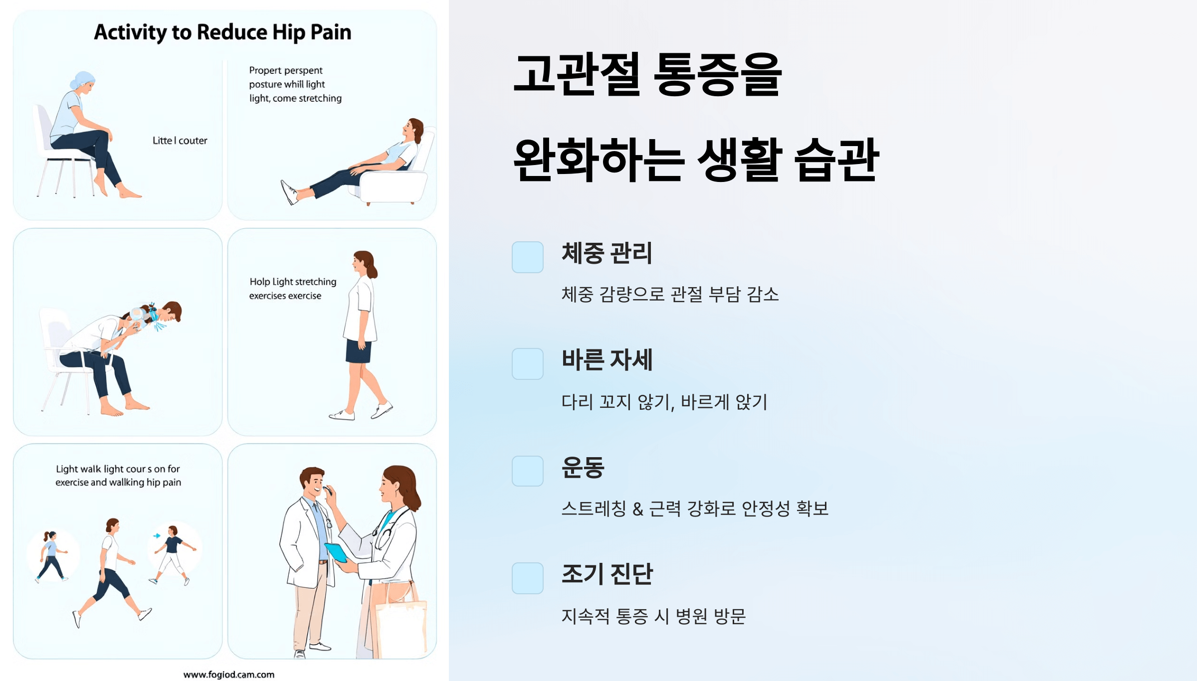 고관절 사진입니다.