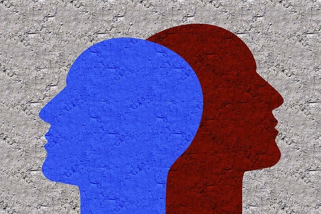 리플리증후군