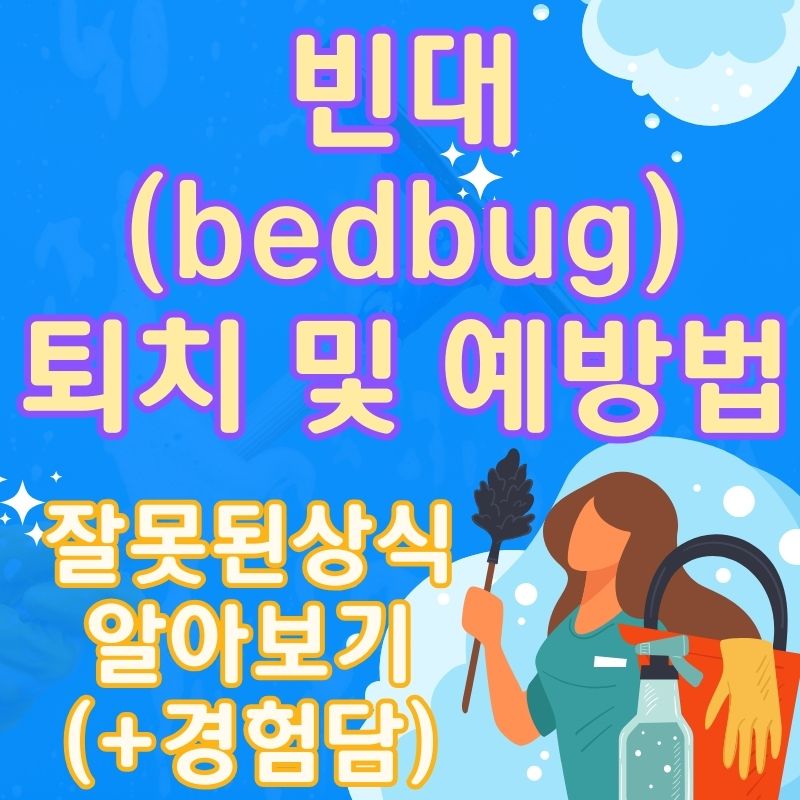 빈대퇴치