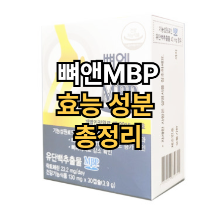 뼈앤MBP-효능-성분-뼈에-좋은-영양제