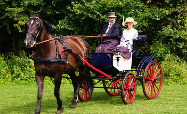 마차 수리공의 몰락: 자동차가 바꾼 생계
