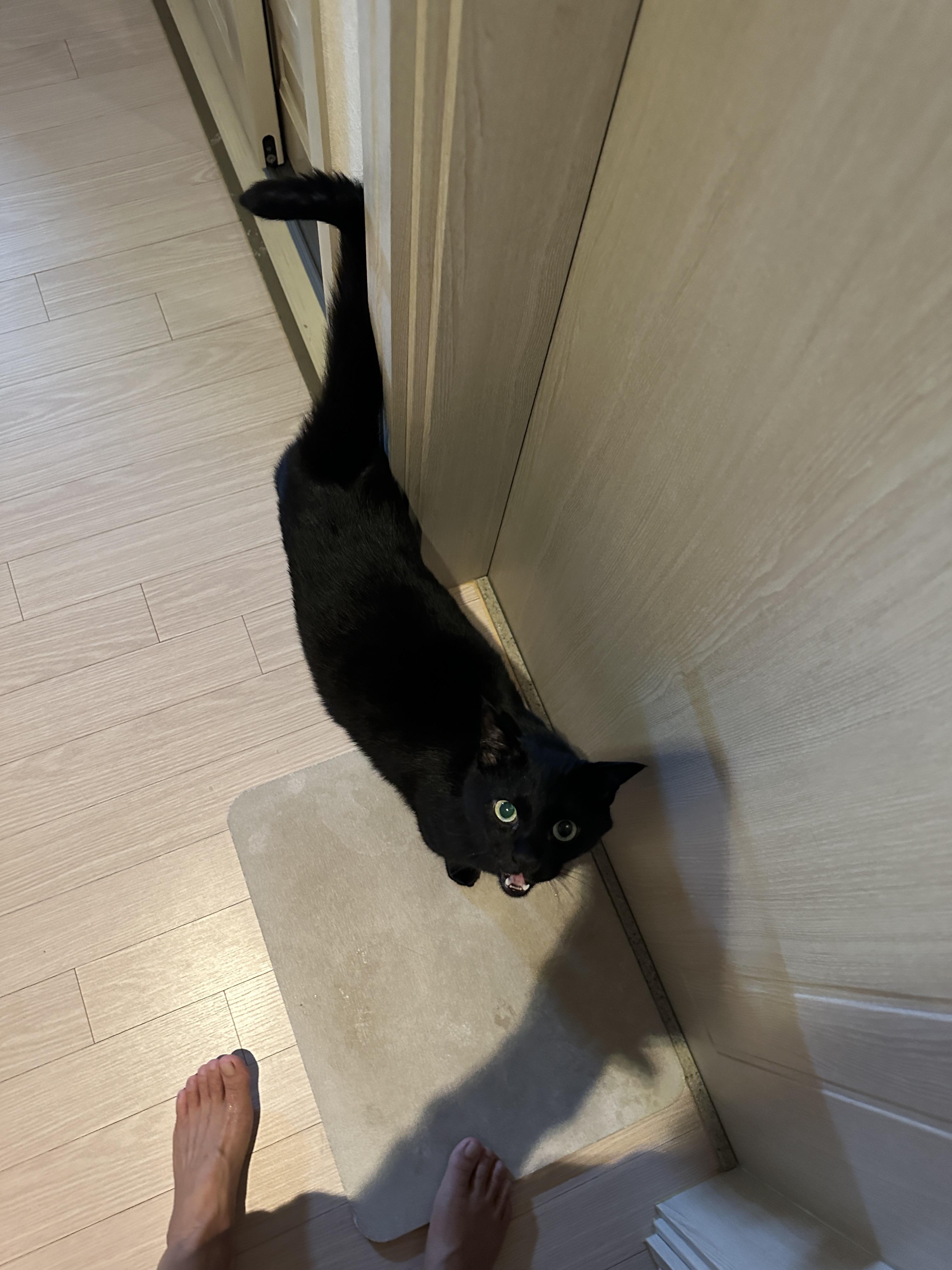 멋지고 이쁘고 사랑스럽고 애교 많고 귀여운 건이 (feat. 정색하는 건이)