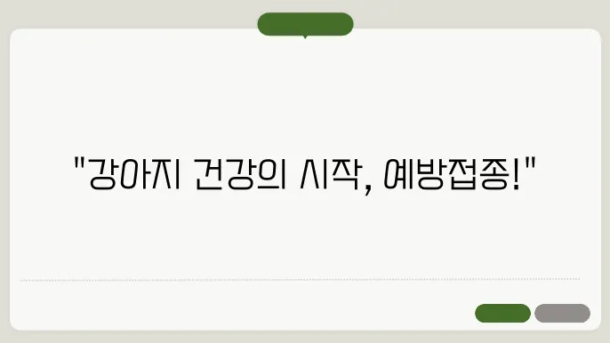 강아지 예방접종 시기