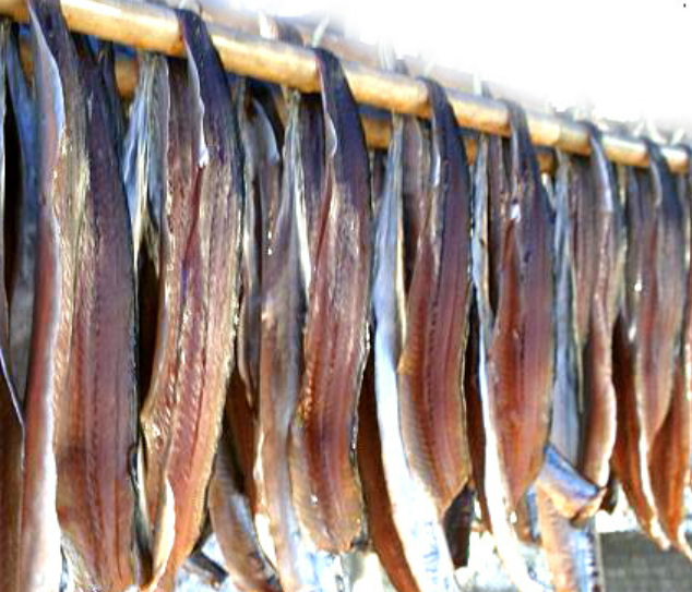 SBS 생방송투데이 포항 과메기덕장 일출과메기덕장 안내