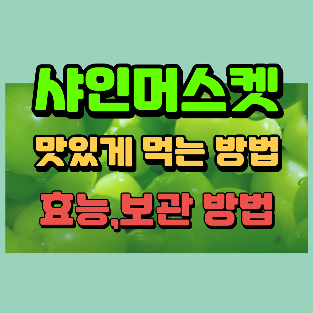 샤인머스켓 보관법 효능 가격