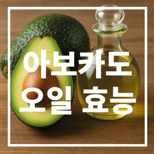 아보카도 오일 효능