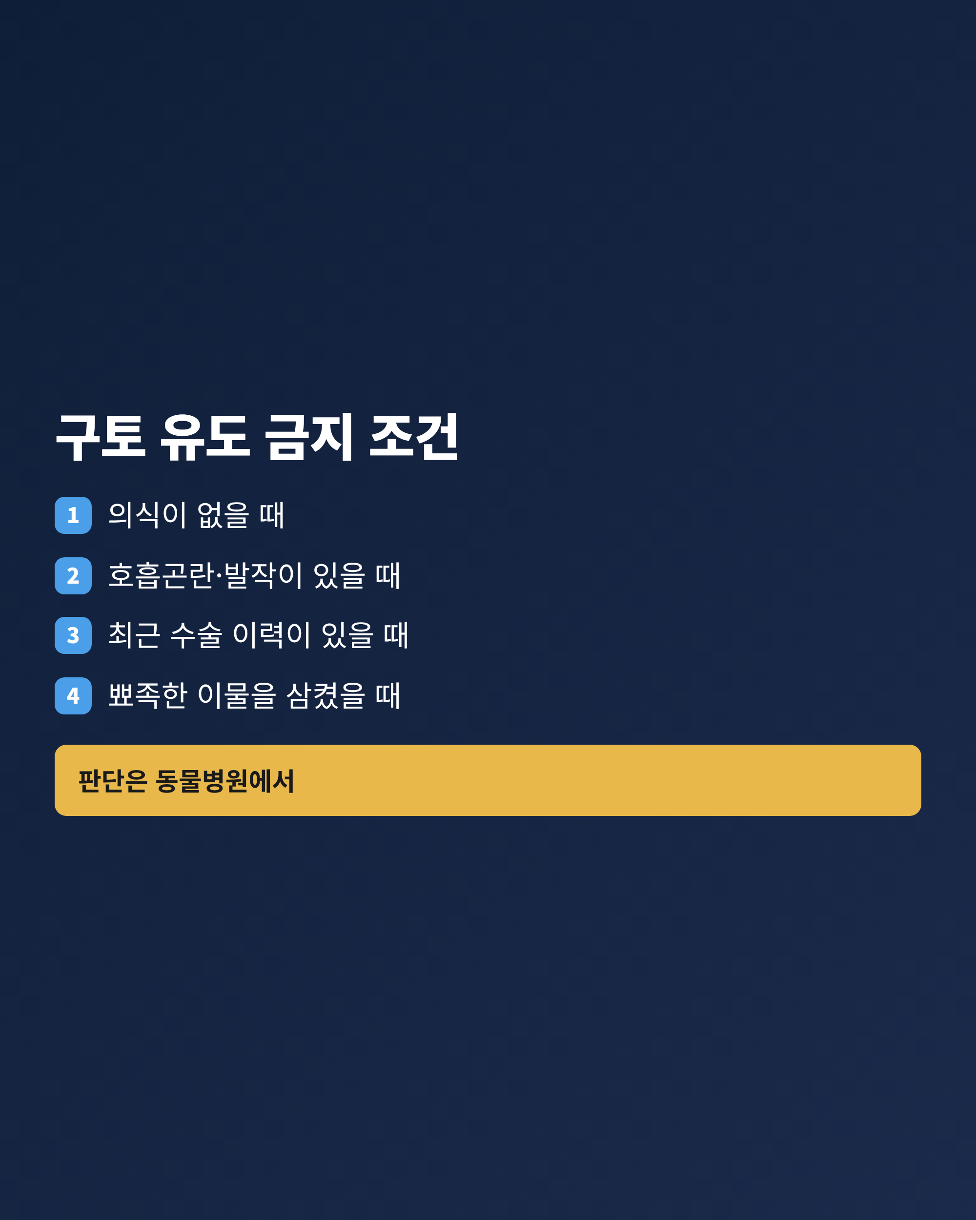 강아지가 이물을 삼켰을 때 집에서 구토를 유발하면 안 되는 네 가지 상황을 정리한 체크리스트
