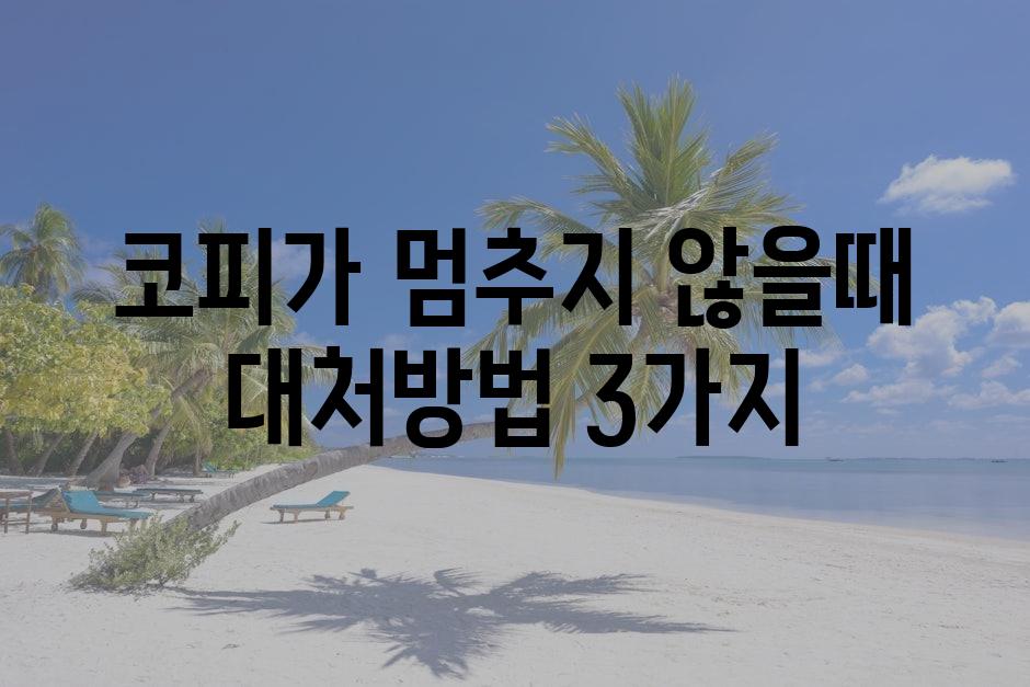 샘플 (79)