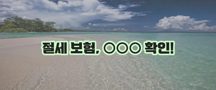 세금공제 보장을 위한 보험 상품 선택하기