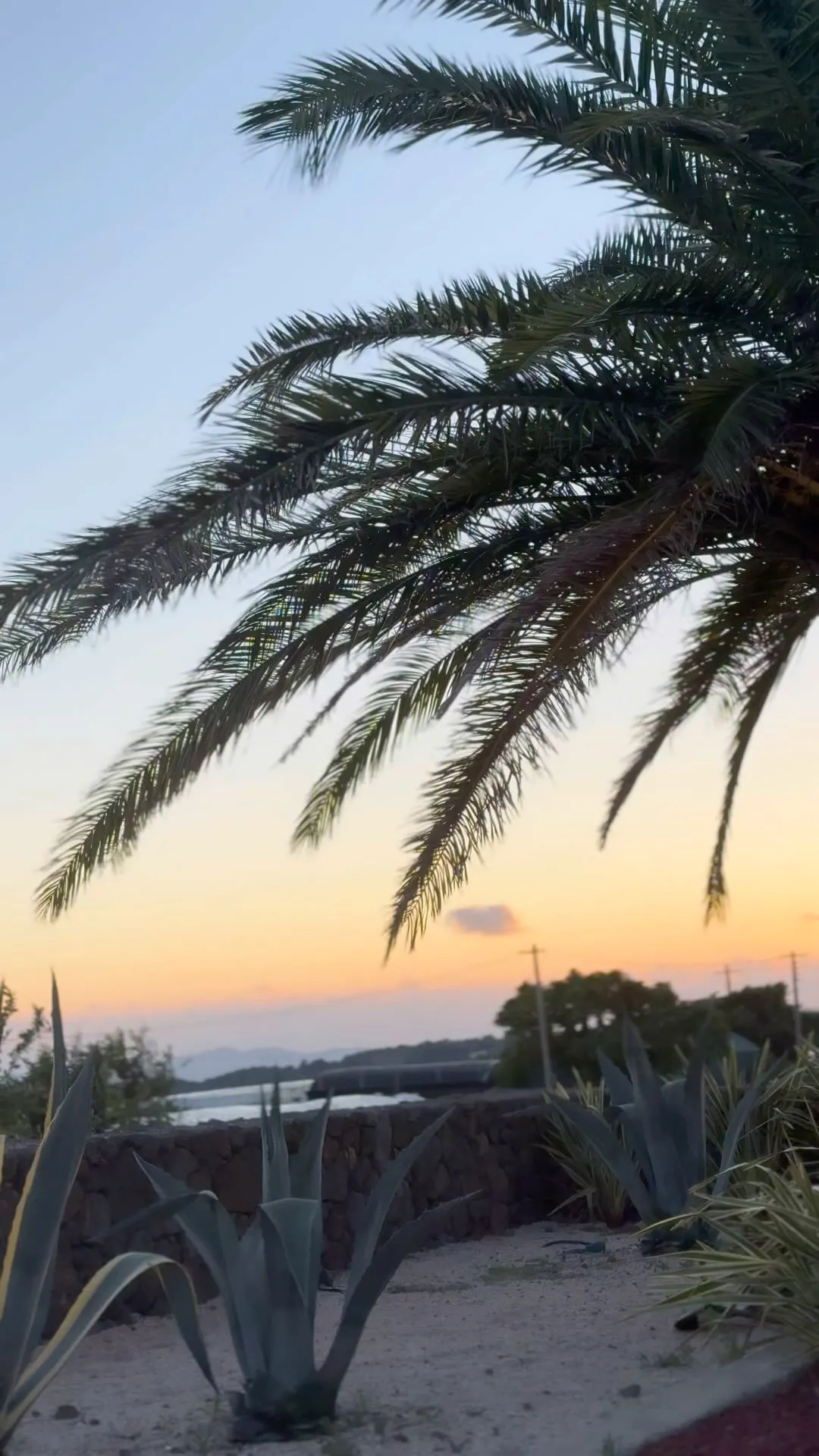 진서연_인스타그램_이미지