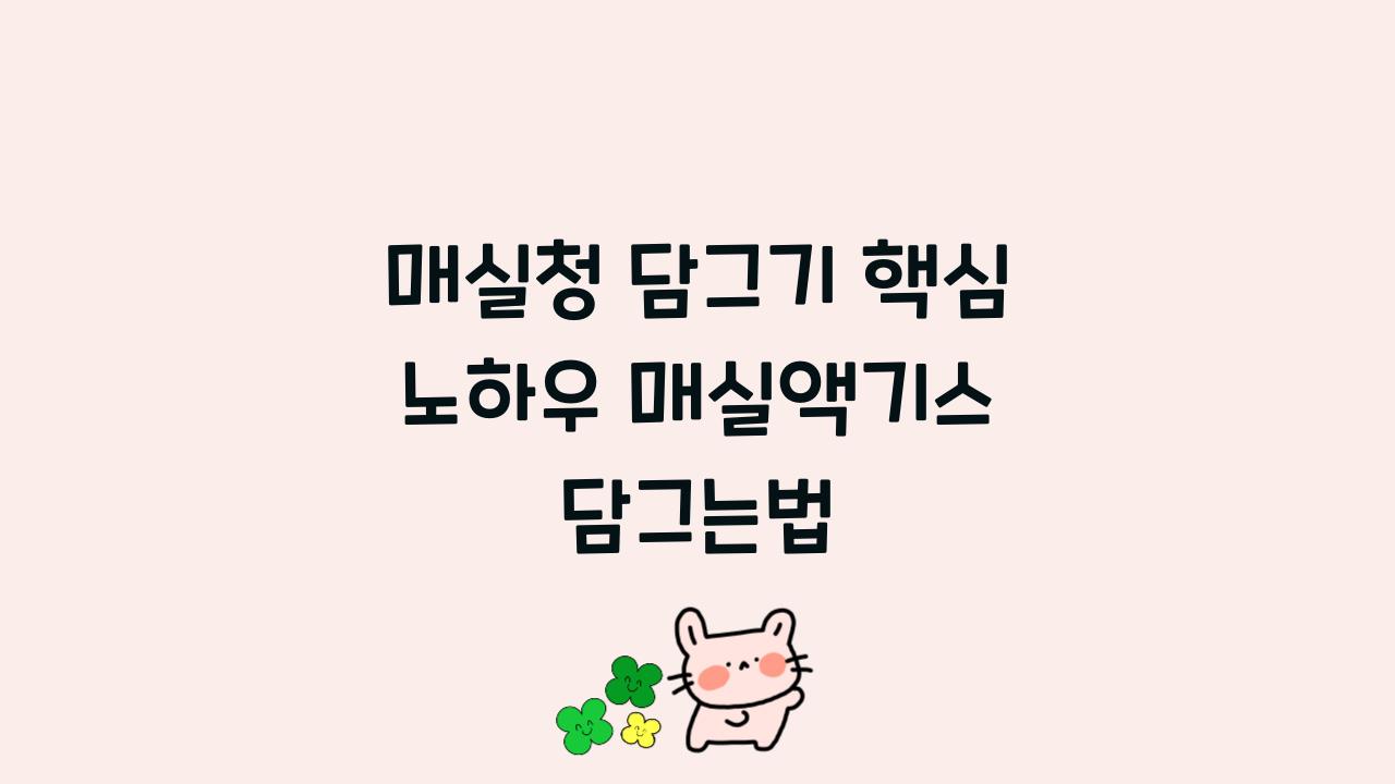 매실청 담그기 핵심 노하우 매실액기스 담그는법