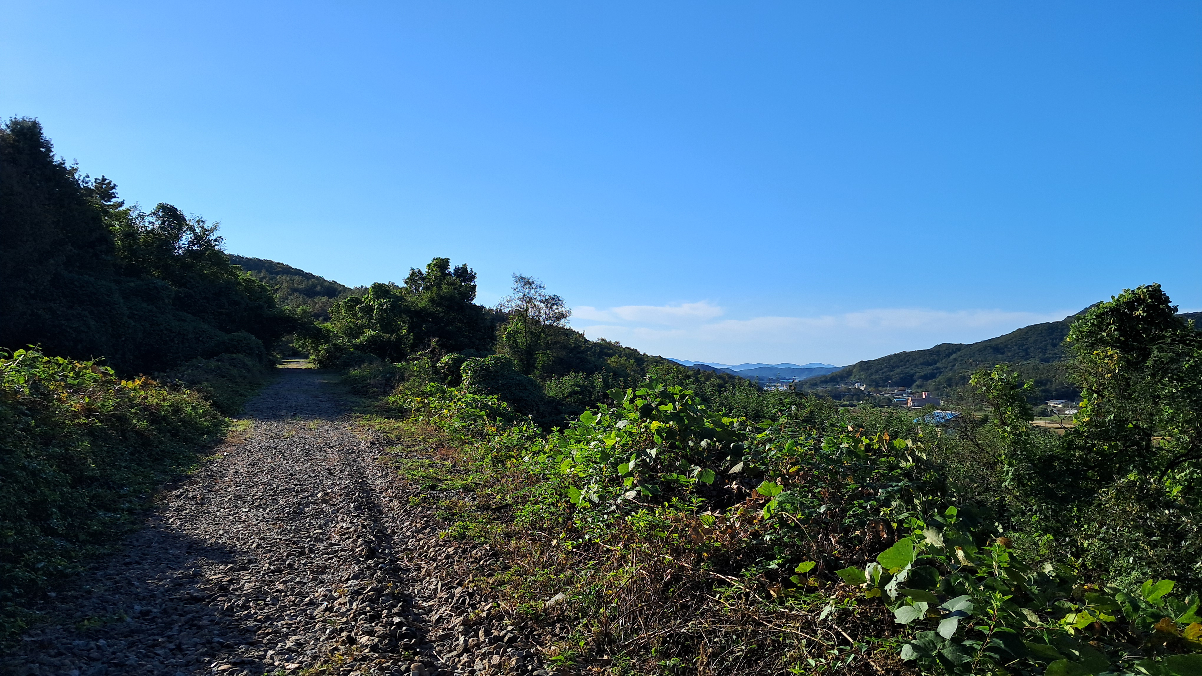 옛 중앙선 선로