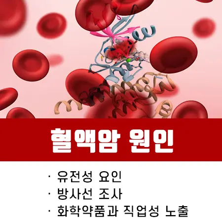 혈액암 원인
