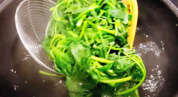 시금치 데쳐