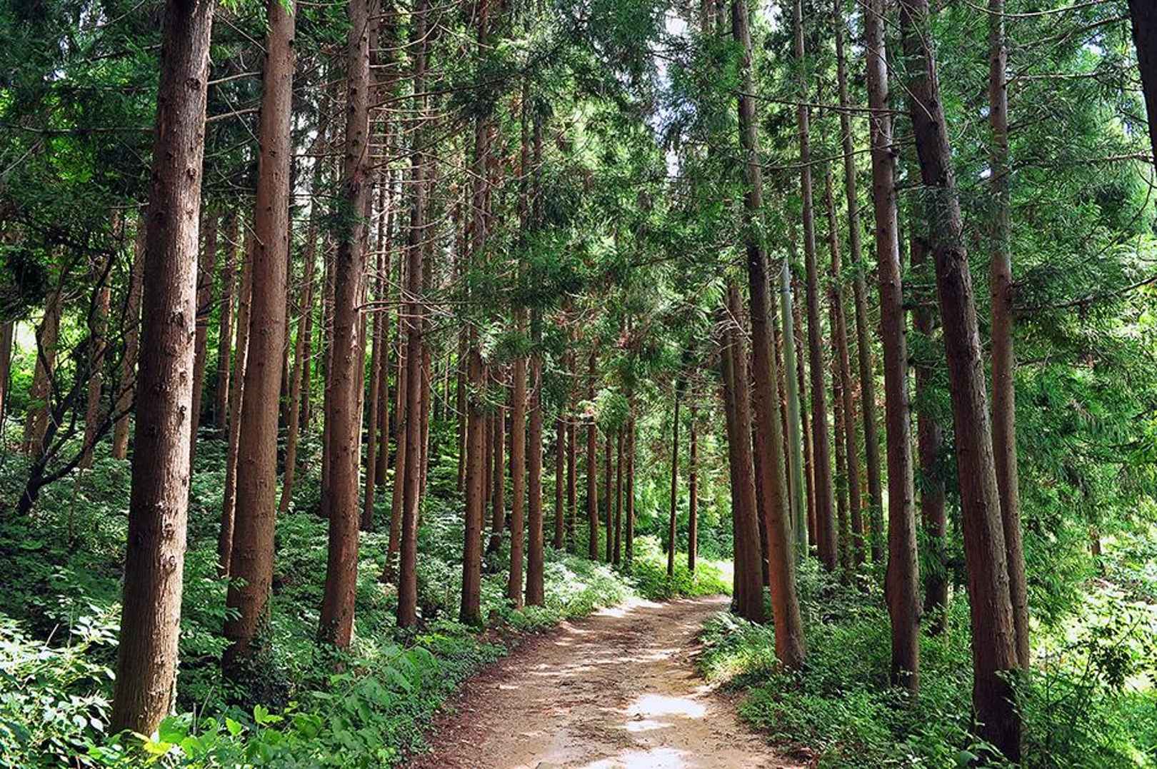 국립천관산자연휴양림