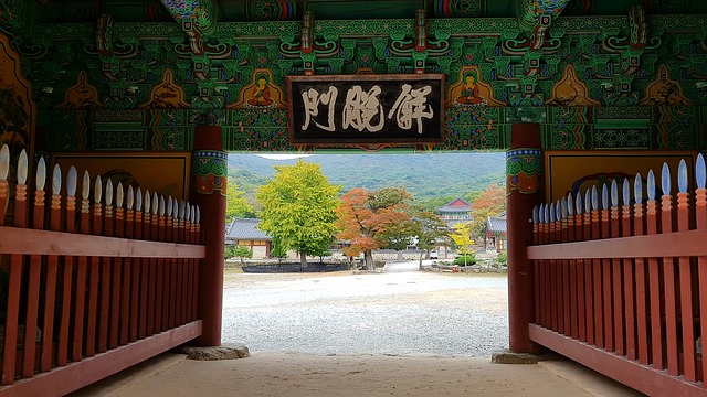 대흥사, 한국 불교의 살아있는 역사