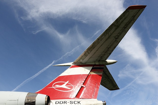 사업자대출 정부지원 5