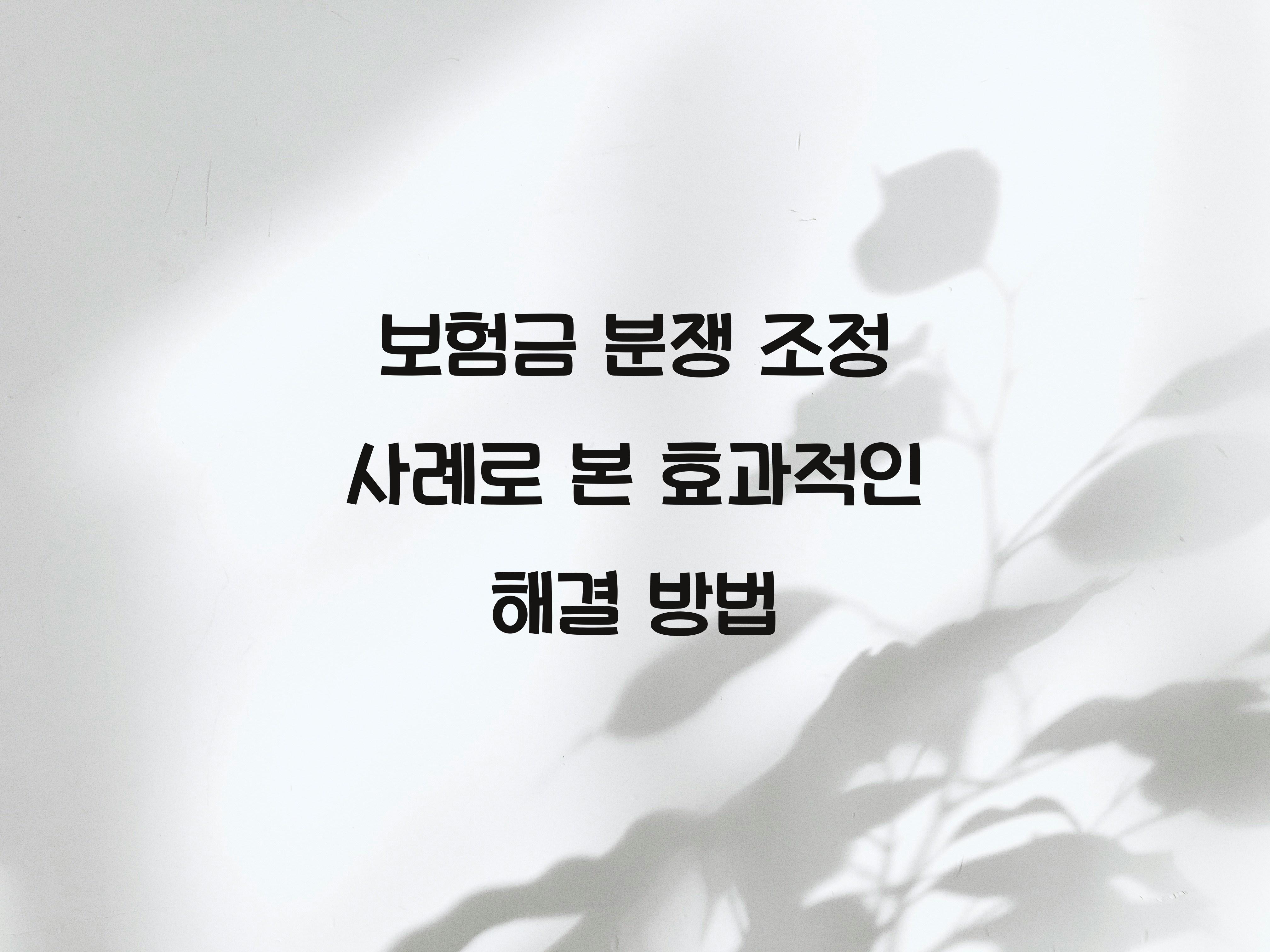 보험금 분쟁 조정 사례