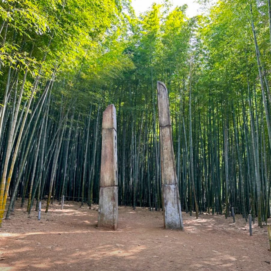 아홉산숲 