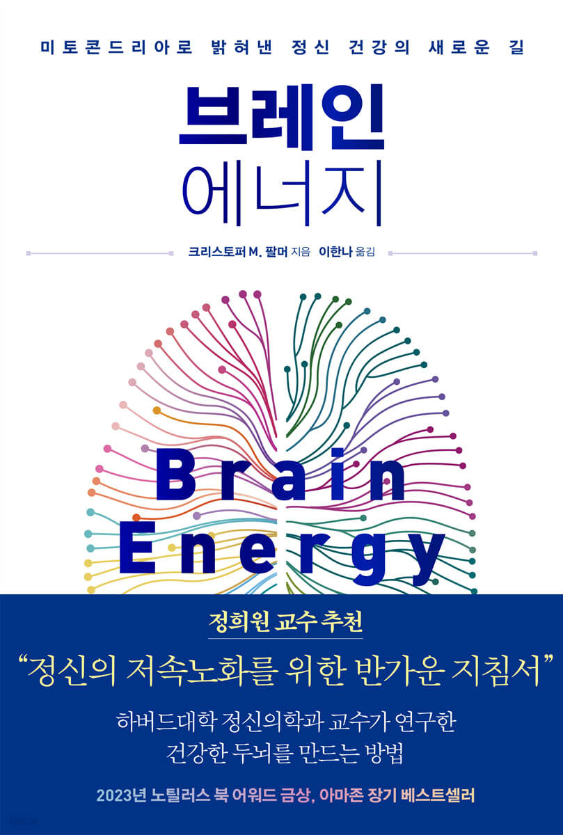 크리스토퍼 M. 팔머의 저서 '브레인 에너지' 표지