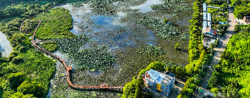 정양늪생태공원