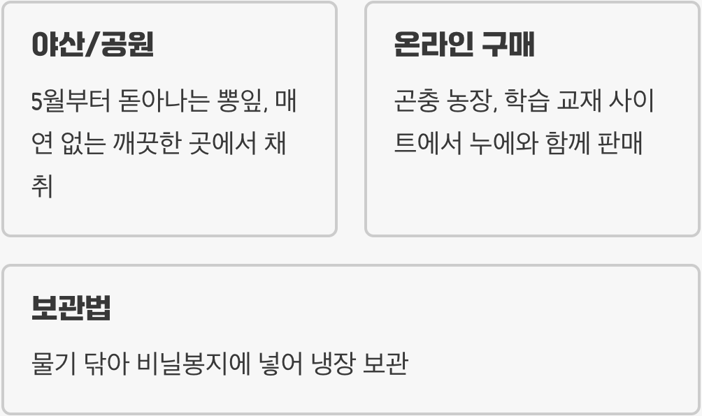 가장 큰 숙제, 신선한 뽕잎 구하기