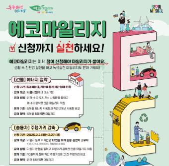 서울시 승용차 마일리지