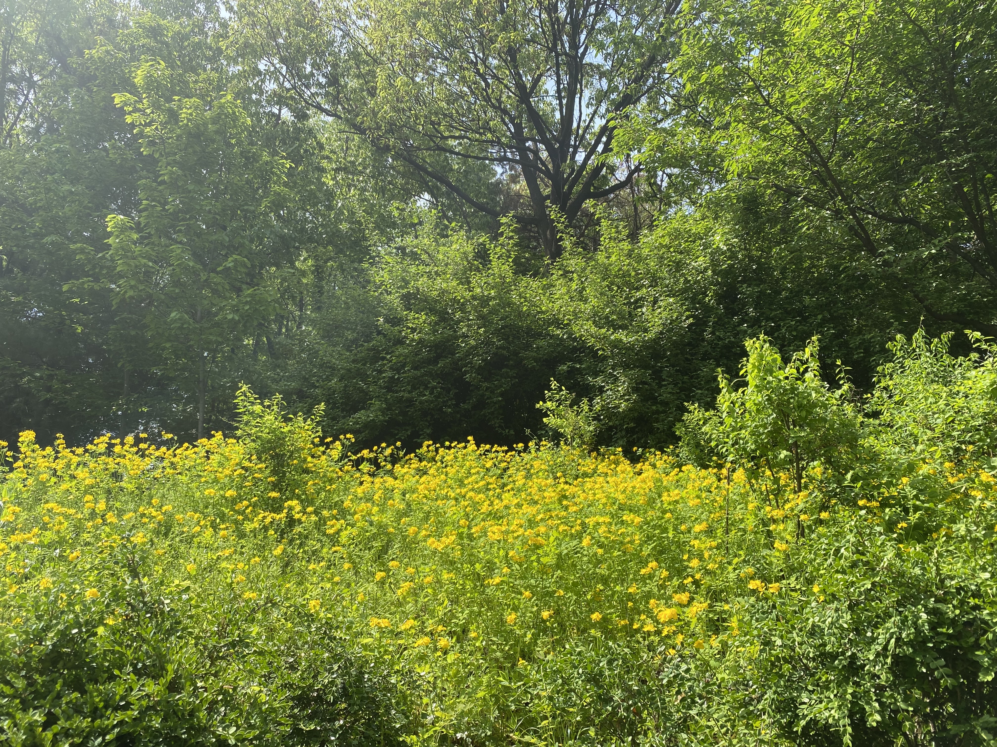 Alt 속성 문제 해결 설명 이미지