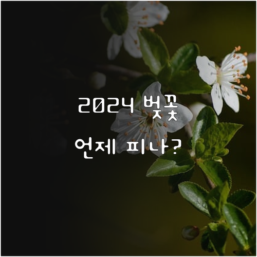 서울 및 전국 주요 도시 벚꽃 개화일..