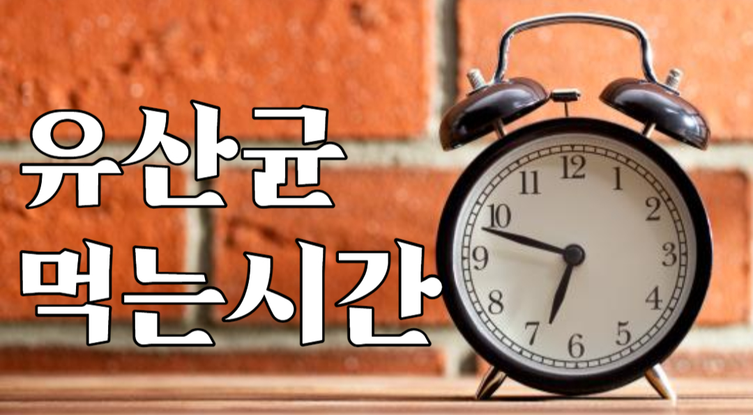 시계-오전-유산균먹는시간