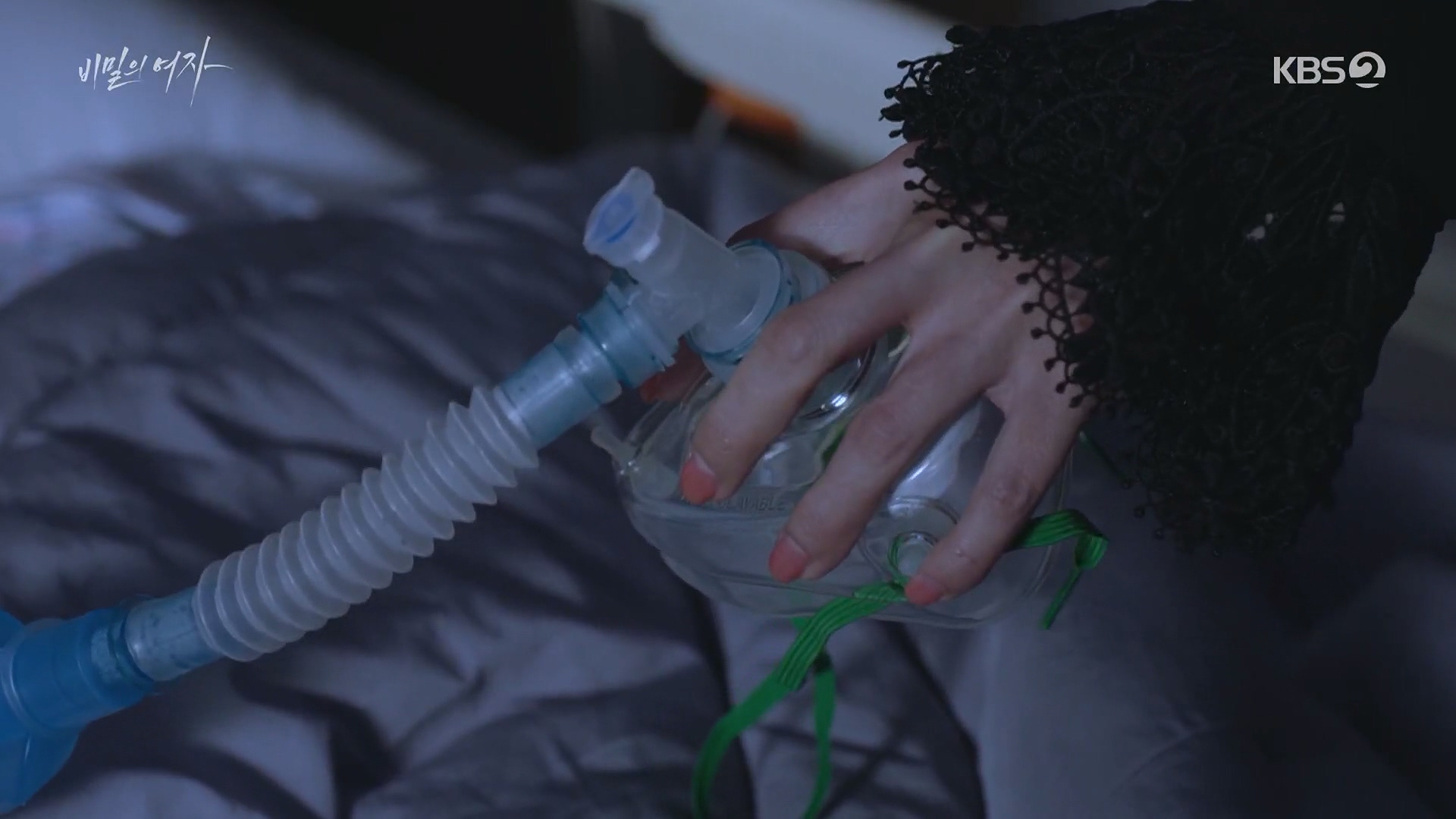 비밀의 여자 줄거리