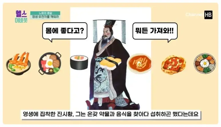 일본nmn효능