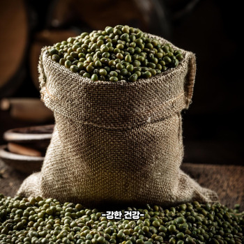 녹두 효능 명불허전