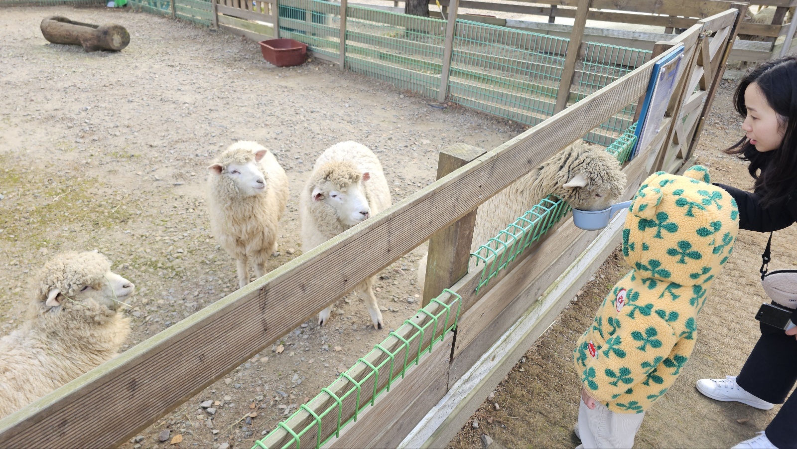 [24.11월] 아이와 평창 #1 - 모나 용평리조트 애니포레🏔️