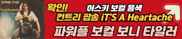 보니 타일러 노래