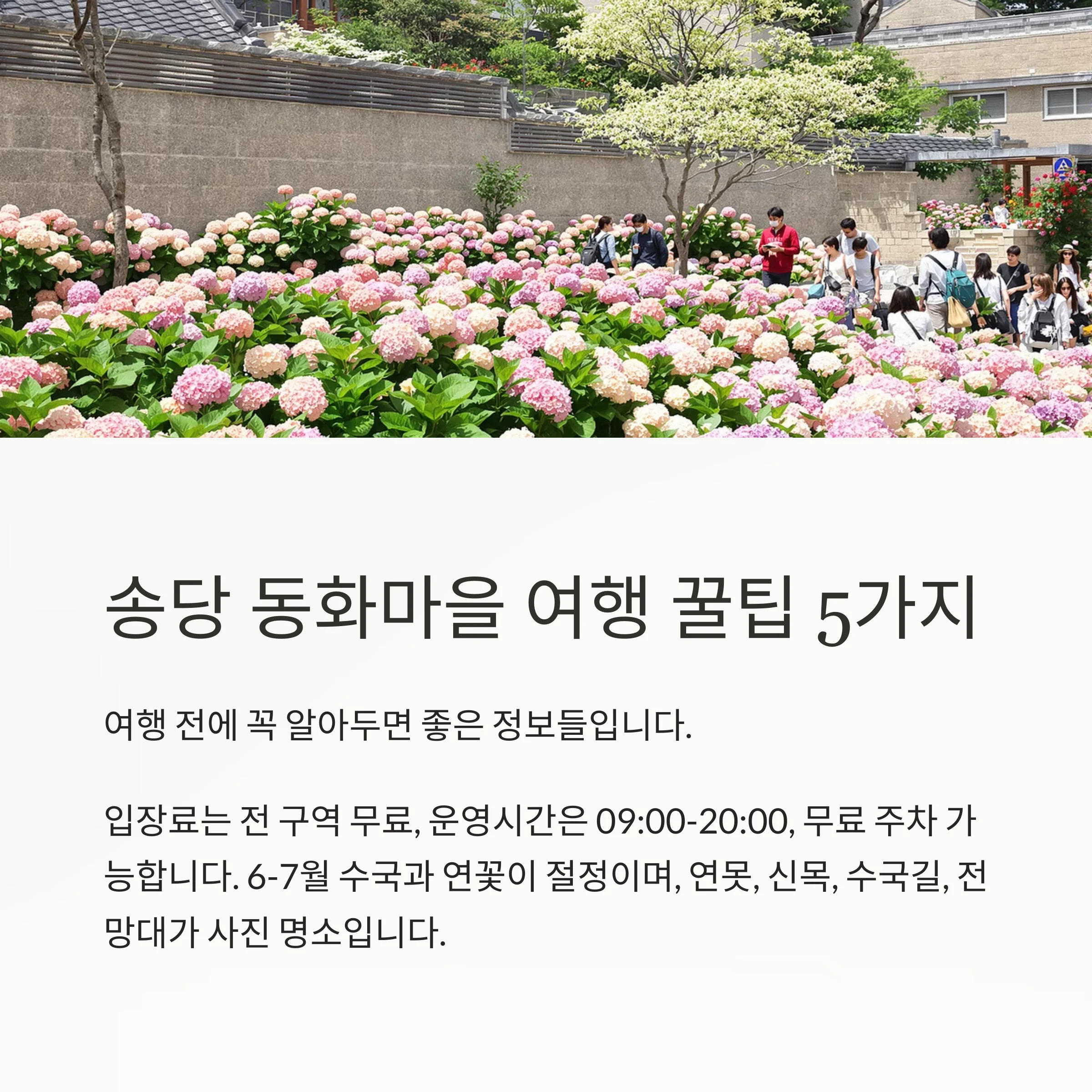 제주 동쪽 힐링 여행의 중심, 송당 동화마을