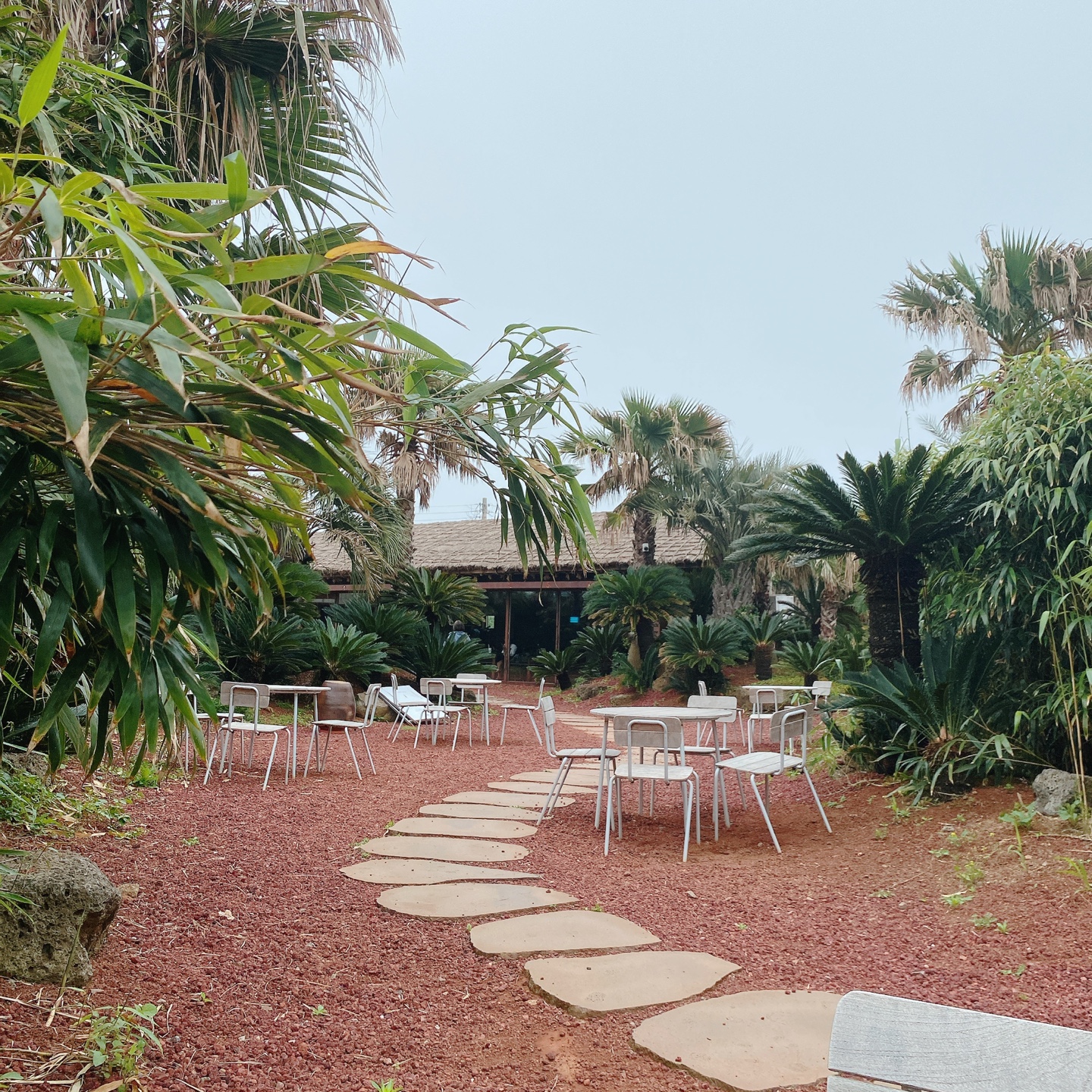 제주 서귀포 대정 서림연대 인스밀 곡물창고 개조카페 in's mill 보리개역 보리 청보리 제주 특산물