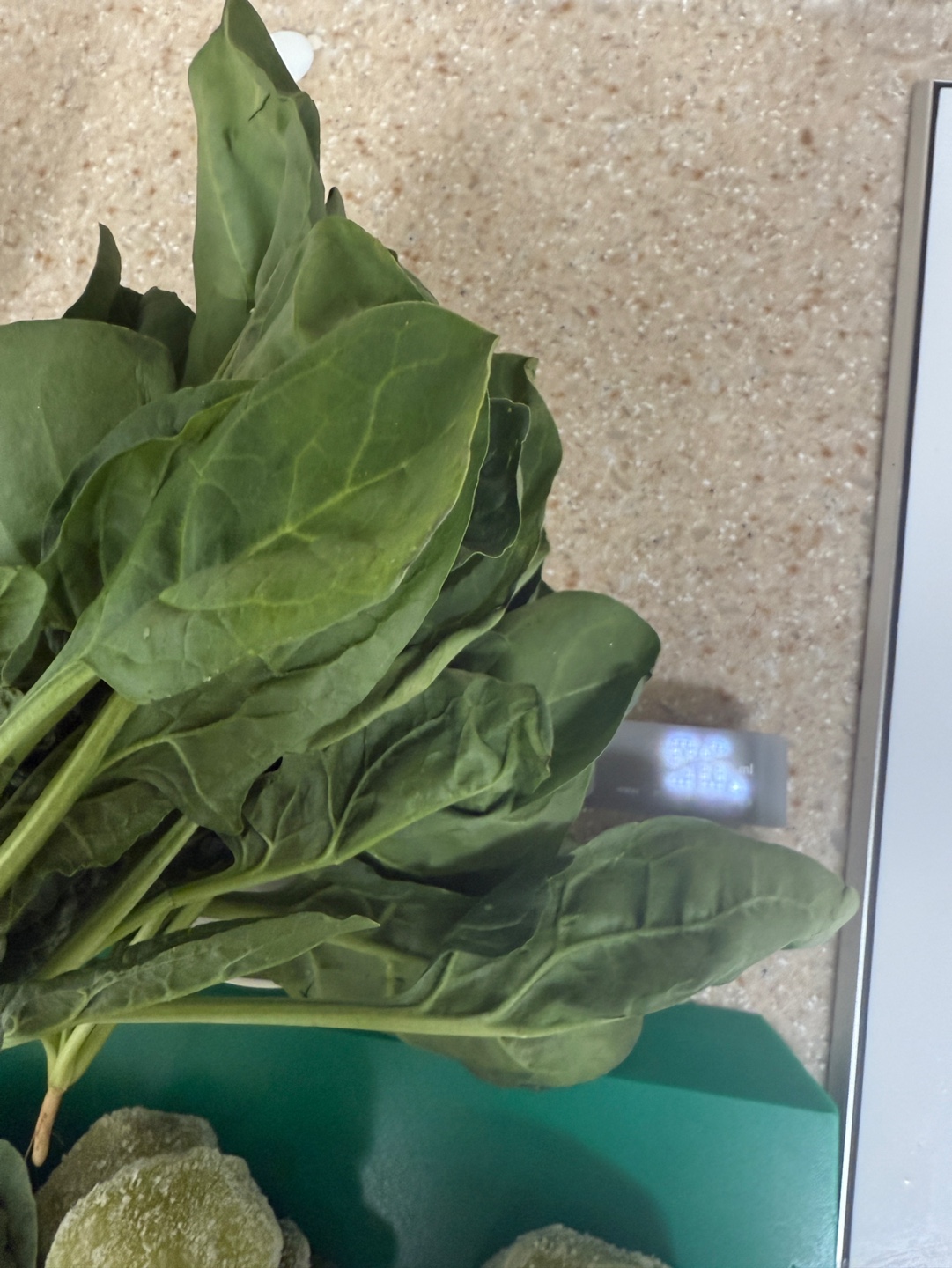🌿 여름, 가볍게 가는 나의 아침 루틴 – 두부 스무디 레시피