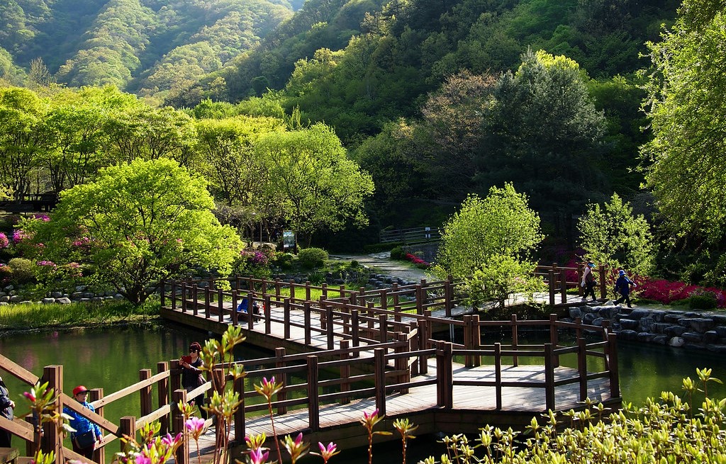 전주수목원 관람 가이드 ❘ 이용 정보·산책 코스·계절별 포인트 총정리