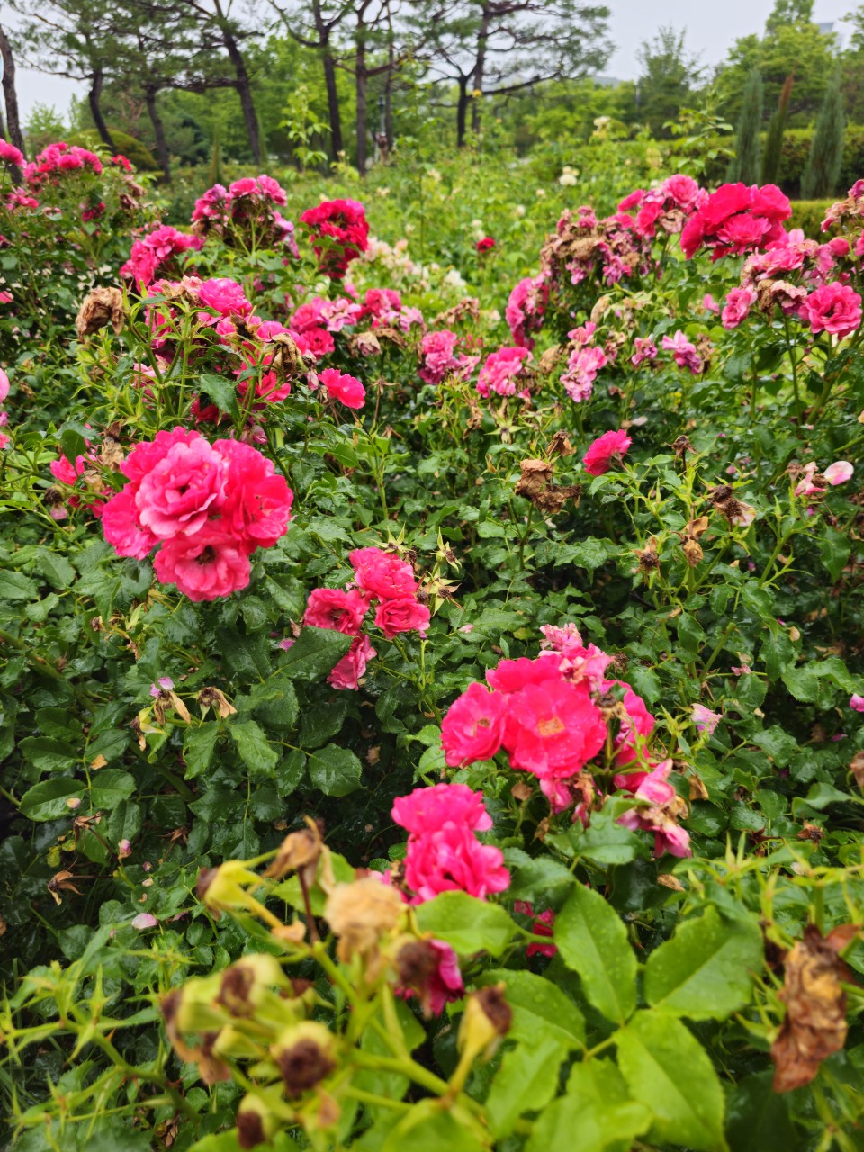 제주 장애인 복지환경 분석