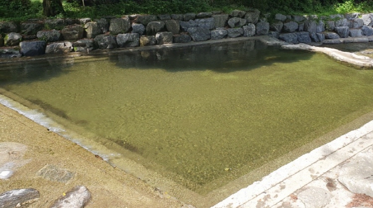 강씨봉 자연휴양림