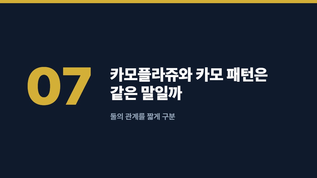 카모플라쥬와 카모 패턴은 같은 말일까 — 둘의 관계를 짧게 구분