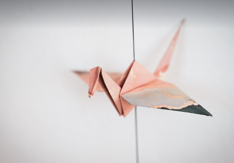 종이학 사진