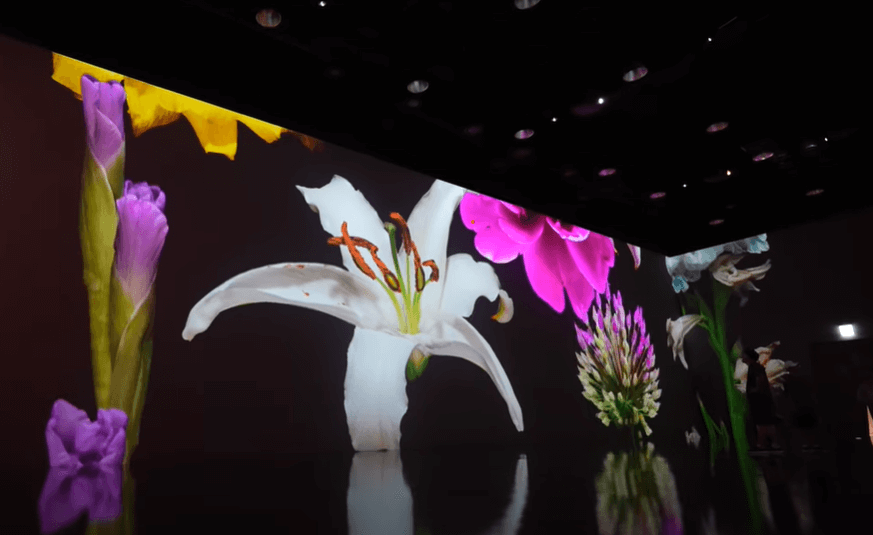 화담숲 가을 단풍축제 명소, 9월 10월 예약과 맛집