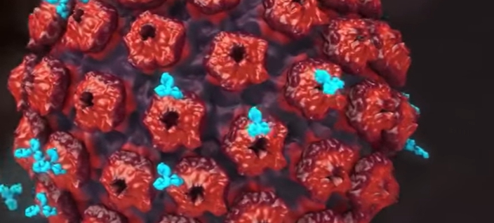 hpv 바이러스 증상