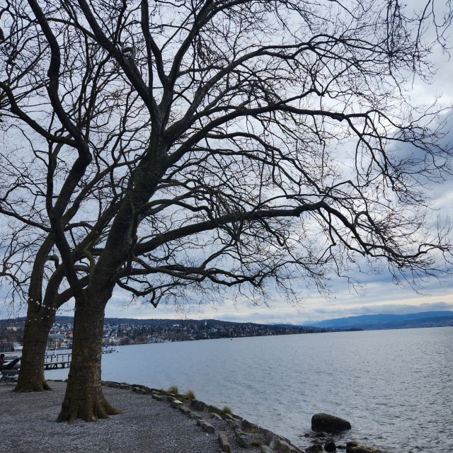 스위스 취리히호른 취리히호수
